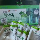 벌나무파는곳 알고 먹어야 한다