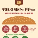 롯데리아 신안점 네이버블로그