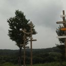 (주)영림환경 이미지