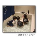 잭큐몬티562 네이버블로그