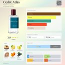 팜 아틀리에 이미지