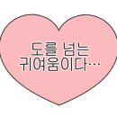 칠곡온동물의료센터 이미지