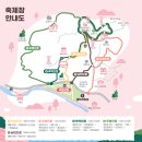섬진인쇄 | 2024 광양 매화축제 방문 후기 - 광주 근교 1시간 30분 거리 나들이! 3월 꽃축제