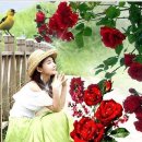 향기5로 이미지