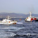 동해-단속-16 이미지