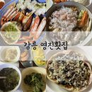 영진횟집 | 강릉 물회 대게 맛집 영진횟집 12년 연속 블루리본 내돈내산 후기