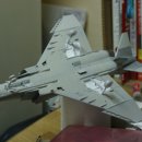 하세가와 1/48 QF-4S Phantom II VX-30 BLOODHOUNDS 이미지