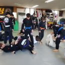 팀 스트라익 주짓수 킥복싱 합기도 이미지