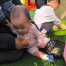 지안농장 이미지