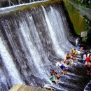 폭포식당 네이버블로그