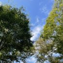 노일강 캠핑장 이미지