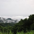 푸른솔주유소 이미지