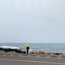 별빛애월 이미지