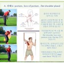 베어리핏 이미지