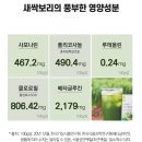 자연새싹 이미지
