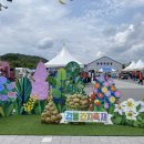 6월14-15일 감물 감자축제 현장에 나갔어요 이미지