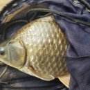 대류한버들낚시터 이미지