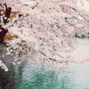 아름다운파트너스