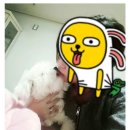 카페30