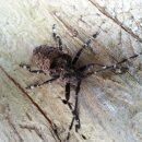 원목농장 이미지