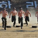 Best of the Best 이미지