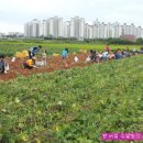 버들농장 이미지