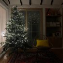 스테이 룰루랄라 이미지