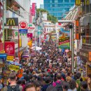 먼마루 벚꽃거리 문 | 일본 도쿄 완전 가이드 – 한국에서 도쿄까지, 날씨·계절별 팁부터 필수 관광지 5선까지