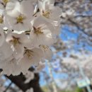 태천농장 이미지