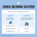 상록 동물병원 이미지