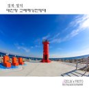물뿜는고래 이미지
