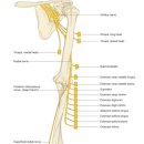 보듬한의원 이미지