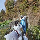 (주) 린데코리아 이미지