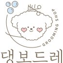 댕 그루밍 이미지