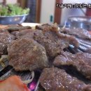 장수갈매기 이미지