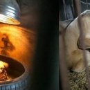 원 농장 이미지