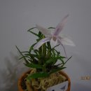 무명농장 이미지