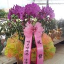 세븐일레븐 궁동점 이미지