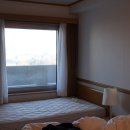 토요코인 대전 이미지