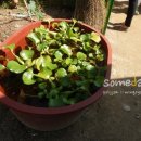 구곡농장 이미지