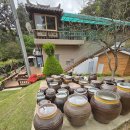 도깨비정원 이미지