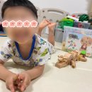 [에드토이]원목 자석 블록, 내돈내산 교구 추천_ 1년 이용 찐후기 키즈스콜레(사진추가)