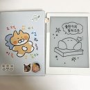 루나X2 이북리더기 사용 후기 (입문용 추천, 속도, 슬립화면, 파우치 정보 등)