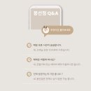 광주강아지분양 마마스미독 24시 광주봉선점 이미지