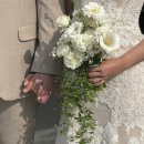 포항베리굿의원 | W03. [플래너계약] 베리굿웨딩 플래너 계약/동행 후기 - 백선하 실장님 🕊️강추✨