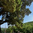 평화누리자전거길 | 김포 평화누리 자전거길 1코스: 전류리포구, 애기봉 입구, 김포조각공원, 대명항