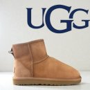 진세탁 | 전주 어그 부츠 세탁 │ 앞코 눌림·딱딱해진 스웨이드 형태 복원 클리닝 후기