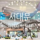 서울 아이와 가볼만한 곳, 서대문 자연사 박물관 솔직후기
