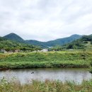 도장밭노래마을 이미지