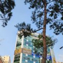 위례양치과의원 이미지